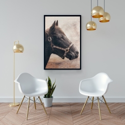 Encadré 24 x 36 - Gallopin le cheval brun