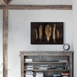 Encadré 24 x 36 - Ensemble de plumes brunes