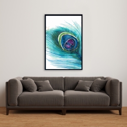 Framed 24 x 36 - Peacock feather closeup