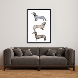 Framed 24 x 36 - Small dachshund dog