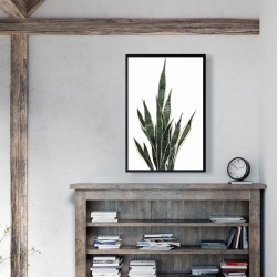 Encadré 24 x 36 - Plante couteau