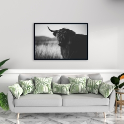Framed 24 x 36 - Beautiful monochrome highland cow