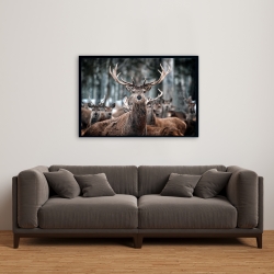 Framed 24 x 36 - Stags