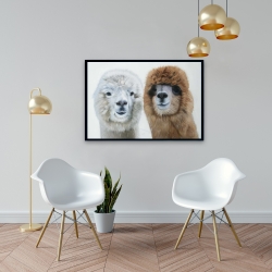 Framed 24 x 36 - Two lamas