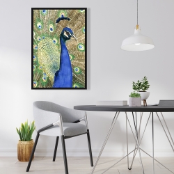 Framed 24 x 36 - Peacock
