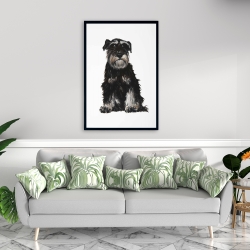 Encadré 24 x 36 - Schnauzer nain