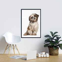 Encadré 24 x 36 - Shih-tzu