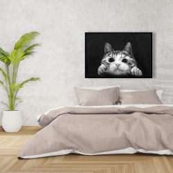 Encadré 24 x 36 - Chat curieux