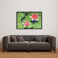 Framed 24 x 36 - Lotus flowers in a swamp