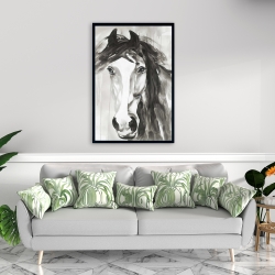 Encadré 24 x 36 - Magnifique cheval sauvage