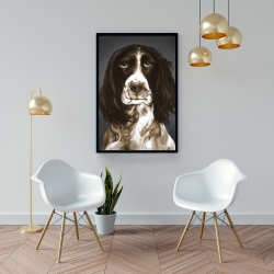 Encadré 24 x 36 - Springer spaniel anglais brun