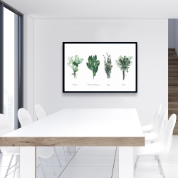 Encadré 24 x 36 - Fines herbes