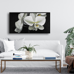 Framed 24 x 48 - White orchids