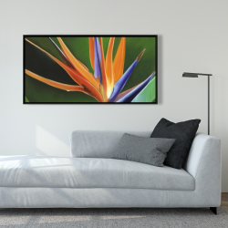 Framed 24 x 48 - Bird of paradise flower 
