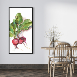 Framed 24 x 48 - Watercolor radish