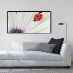 Framed 24 x 48 - White daisy and ladybug