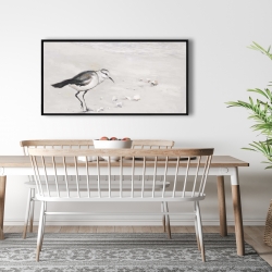 Encadré 24 x 48 - Bécasseau semipalmé