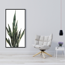 Encadré 24 x 48 - Plante couteau