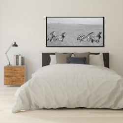 Encadré 24 x 48 - Zèbres dans la savane