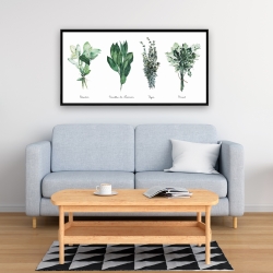 Encadré 24 x 48 - Fines herbes