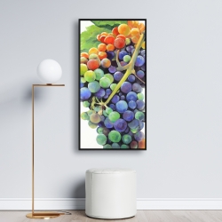 Framed 24 x 48 - Colorful bunch of grapes