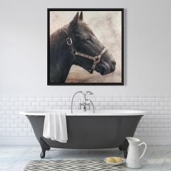 Encadré 36 x 36 - Gallopin le cheval brun