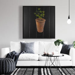 Framed 36 x 36 - Plant of parsley