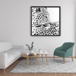 Framed 36 x 36 - Beautiful leopard