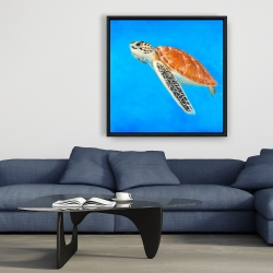 Framed 36 x 36 - Sea turtle
