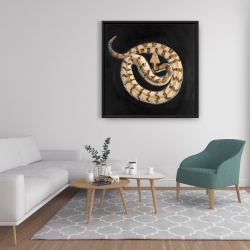 Framed 36 x 36 - Southern timber rattlesnake