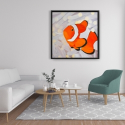 Encadré 36 x 36 - Poissons clown