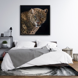 Framed 36 x 36 - Realistic fierce leopard