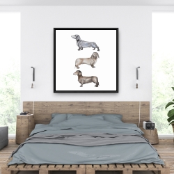 Framed 36 x 36 - Small dachshund dog