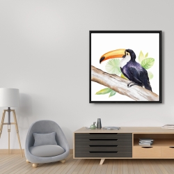Framed 36 x 36 - Toucan perched 