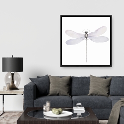 Framed 36 x 36 - Delicate dragonfly