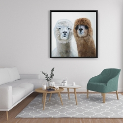 Framed 36 x 36 - Two lamas