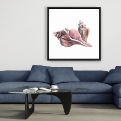 Framed 36 x 36 - Horse conch seashells