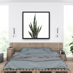Encadré 36 x 36 - Plante couteau