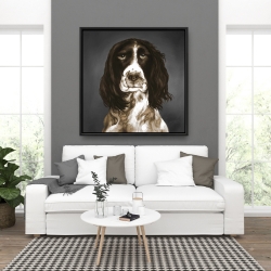 Encadré 36 x 36 - Springer spaniel anglais brun