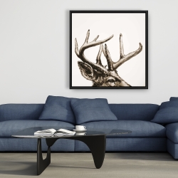 Framed 36 x 36 - Roe deer plume sepia