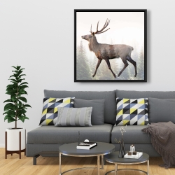 Framed 36 x 36 - Large plume roe deer
