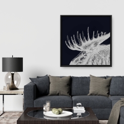 Framed 36 x 36 - Big moose plume