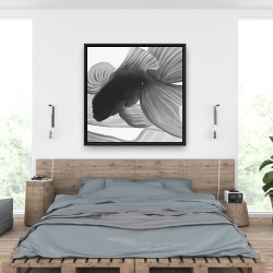 Framed 36 x 36 - Monochrome two betta