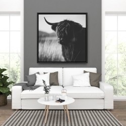 Framed 36 x 36 - Beautiful monochrome highland cow