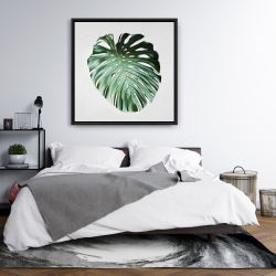 Framed 36 x 36 - Monstera leaf