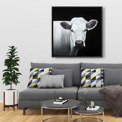 Encadré 36 x 36 - Vache blanche
