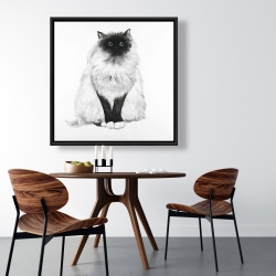 Framed 36 x 36 - Blue eyes fluffy siamese cat