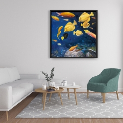 Encadré 36 x 36 - Poissons sous l'océan