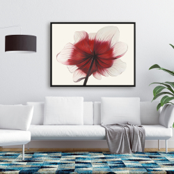 Framed 36 x 48 - Anemone red flower