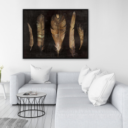Encadré 36 x 48 - Ensemble de plumes brunes